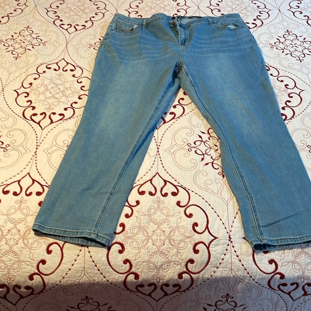 Straight leg plus size jeans light wash size 24